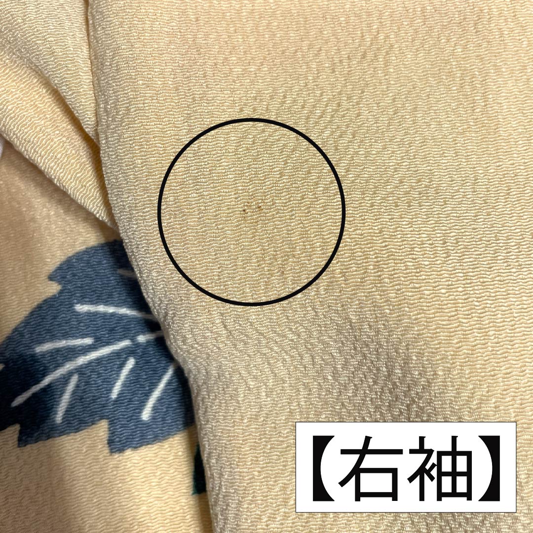 振袖 正絹 Aランク 身丈161cm 裄丈62.5cm 袷 薄柑子色(うすこうじいろ) 京紅型 牡丹 藤 ちりめん地 橙系 1113002403426