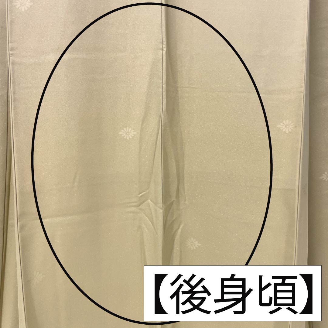 色無地 正絹 Aランク 身丈162cm 裄丈64cm 枯野色(かれのいろ) 綸子 菊 袷 ベージュ系 1114002253425