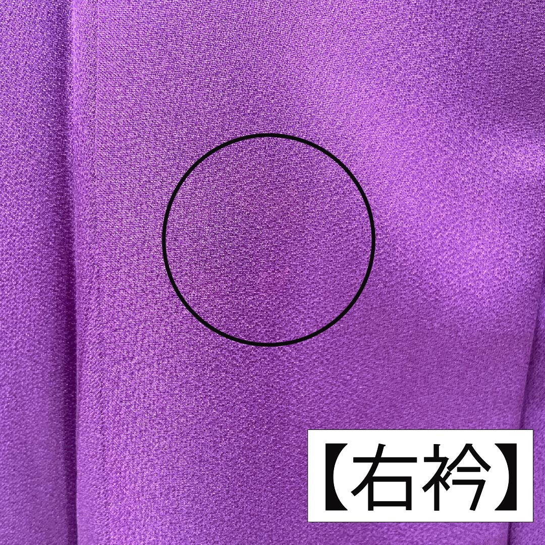 振袖 正絹 Aランク 身丈169cm 裄丈69cm 袷 似紫色(にせむらさきいろ) 京友禅 草花 紫系 1113002153520