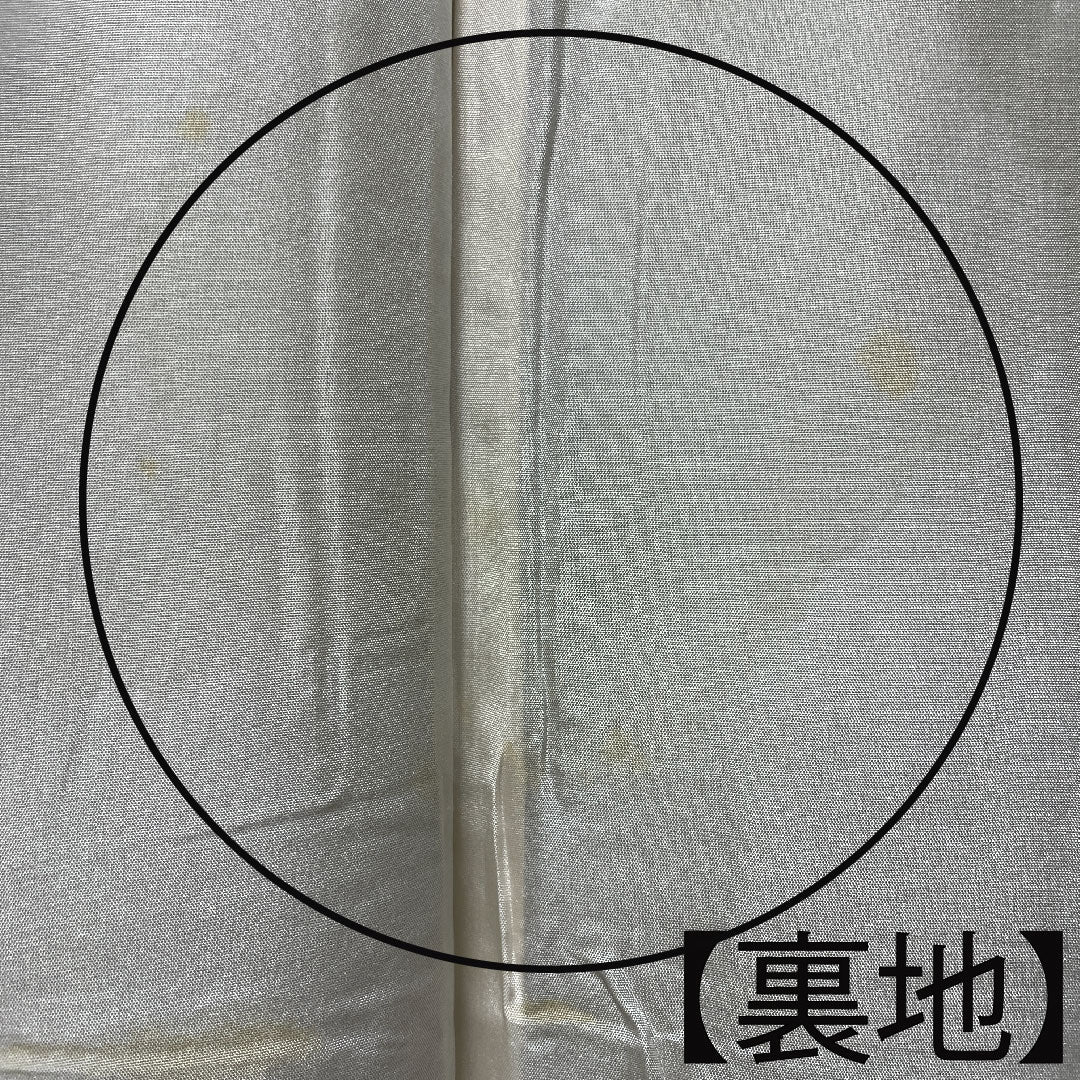 訪問着 正絹 袷 身丈164.5cm 裄丈65cm 蝋色 紬地 波 Aランク ベージュ系 1112003003425