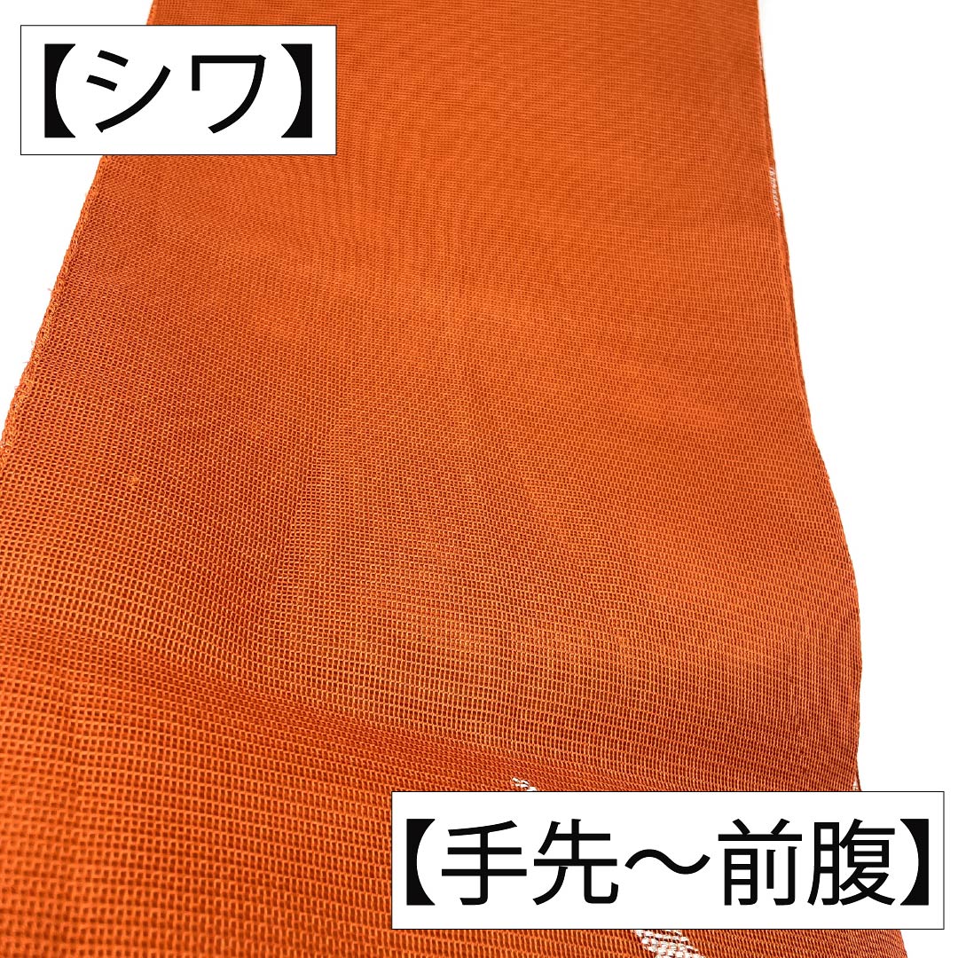 袋帯 正絹 Aランク 紅葉色(もみじいろ) 夏帯 露芝模様 古典柄 帯丈432cm 六通 セミフォーマル 茶系 1123017473314