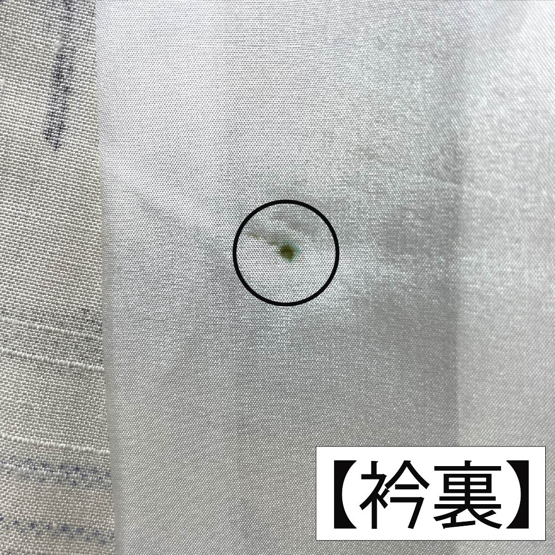 Komon, pure silk, length 157.5cm, sleeve length 64cm, single layer, off-white, Chayatsuji, S rank, white, 1115005292311
