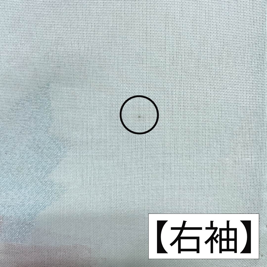 夏物 ポリエステル お召 Aランク 身丈159.5cm 裄丈64.5cm 青白磁色(せいはくじいろ) すくい織 薔薇 洗える着物 紗 水色系 1132004963324