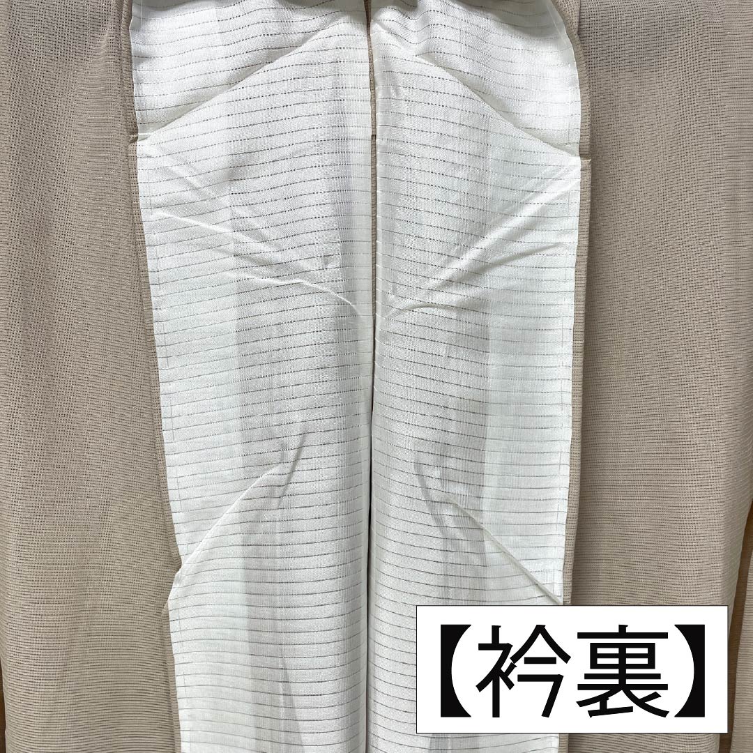 夏物 正絹 付下げ 身丈157cm 裄丈63cm 薄香色(うすこういろ) 草花模様 京友禅 絽 Sランク ベージュ系 1132002752325