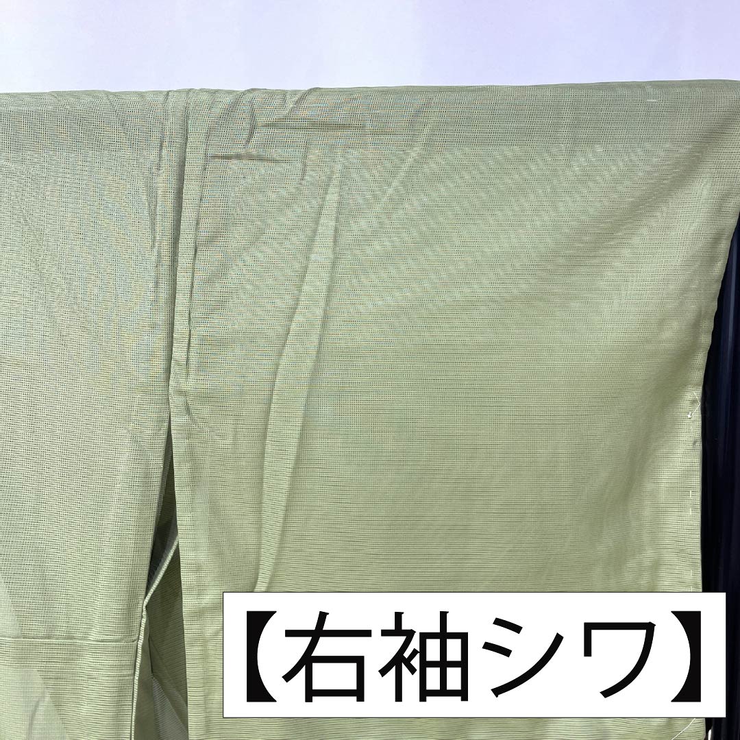 夏物 ポリエステル 色無地 Sランク 身丈165cm 裄丈67cm 薄緑色(うすみどりいろ) 洗える着物 素無地 絽 緑系 1132004122519