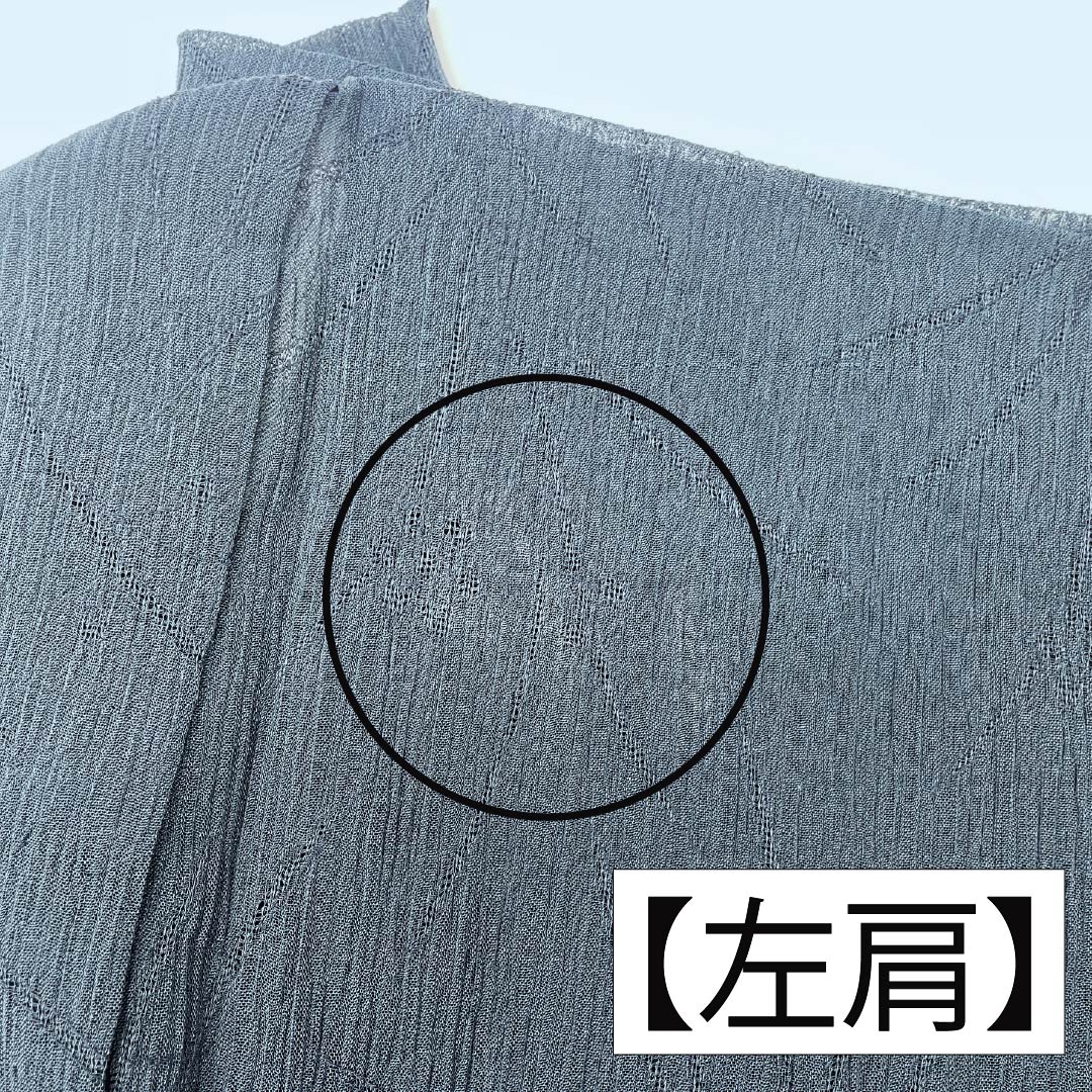 夏物 ポリエステル 色無地 Aランク 身丈160cm 裄丈63.5cm 青墨色(あおずみいろ) 草花模様 縮風 紗 緑系 1132004623419