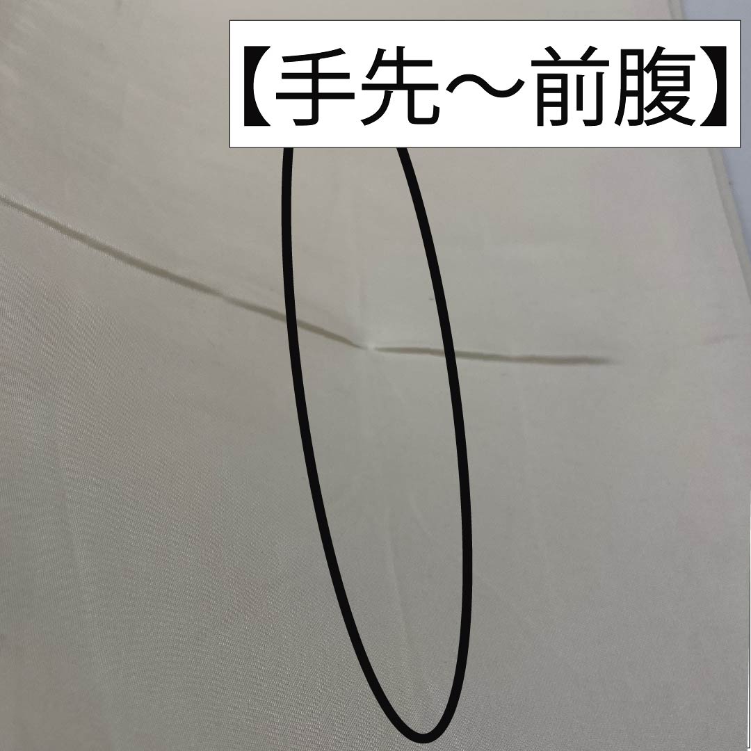 袋帯 正絹 留袖用 引箔 古都みやび 風景模様 鶴 帯丈432cm Aランク 六通 フォーマル グラデーション系 1123013943399