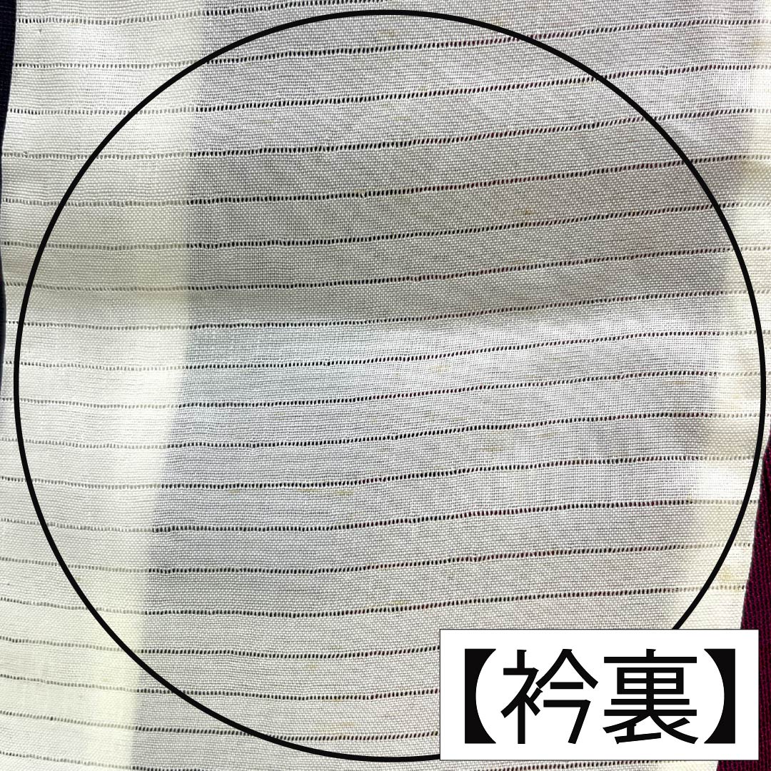 夏物 正絹 お召 Aランク 身丈151cm 裄丈64cm 紫黒色(しこくしょく) 草花模様 紗 紫系 1132004663220