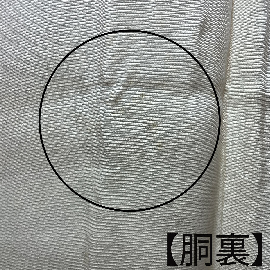 Komon, Length 151cm, Sleeve length 61cm, Awase, Otome color, Wet drawing Yuzen, Floral pattern, Pure silk, A rank, Pink 1115002923213