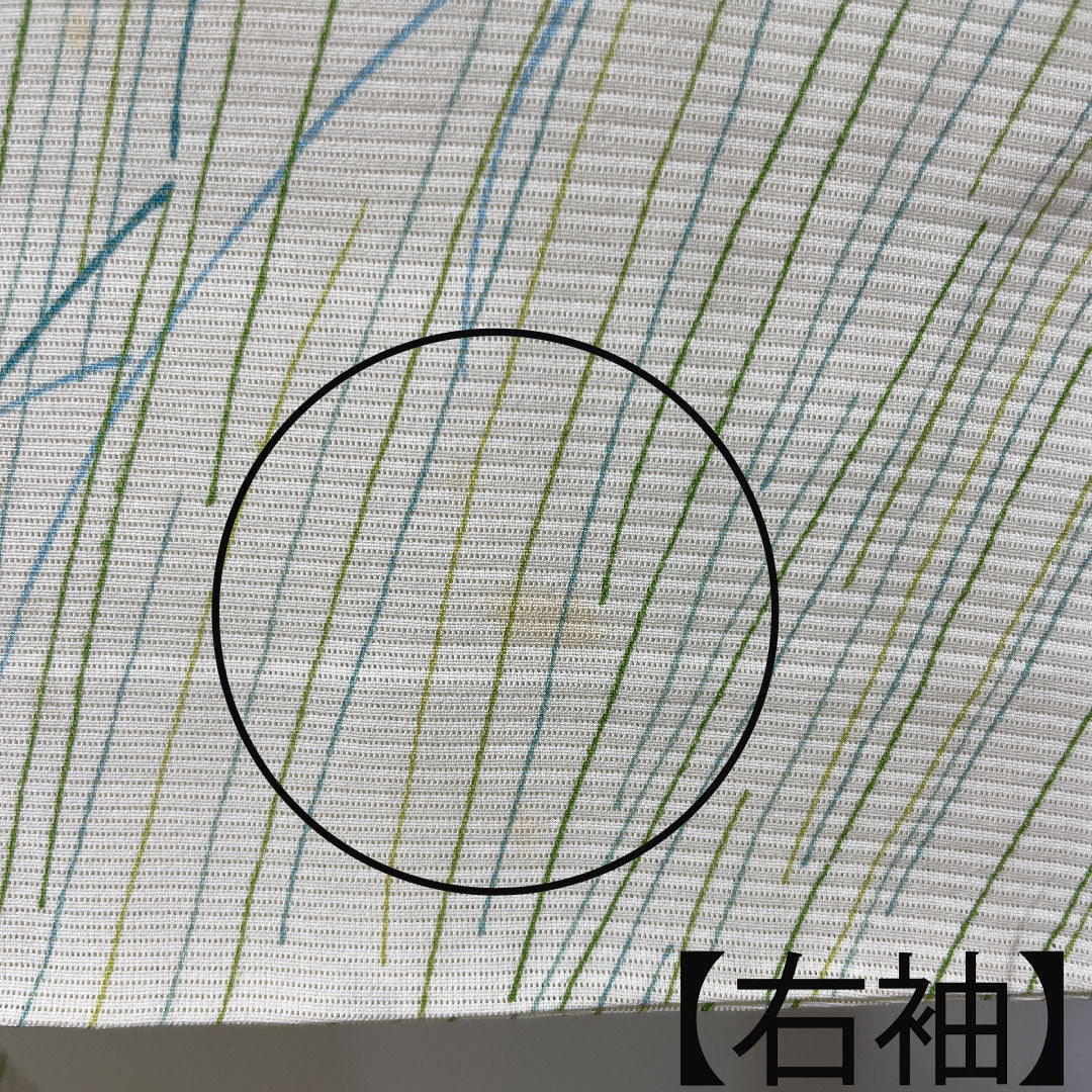 夏物 正絹 小紋 身丈158.5cm 裄丈62.5cm 乳白色(にゅうはくしょく) 抽象模様 絽 Aランク クリーム系 1132000753315