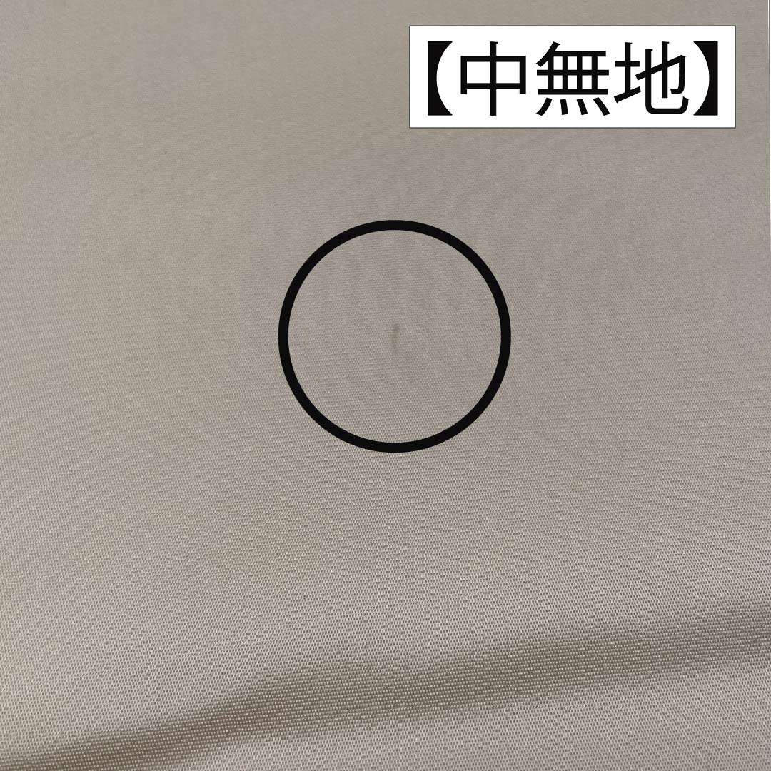 袋帯 正絹 Sランク 胡粉色(ごふんいろ) 唐織 留袖用 振袖用 古典柄 帯丈432cm 六通 フォーマル 白系 1123015642311