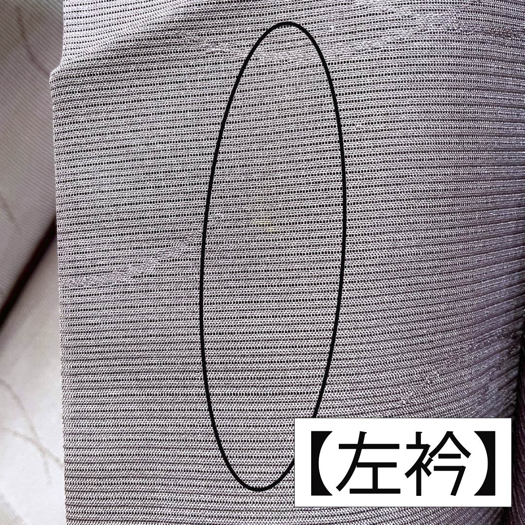 夏物 正絹 色無地 Bランク 身丈154cm 裄丈63cm 中滅紫色(なかのけしむらさきいろ) 露芝 絽 紫系 1132004464220