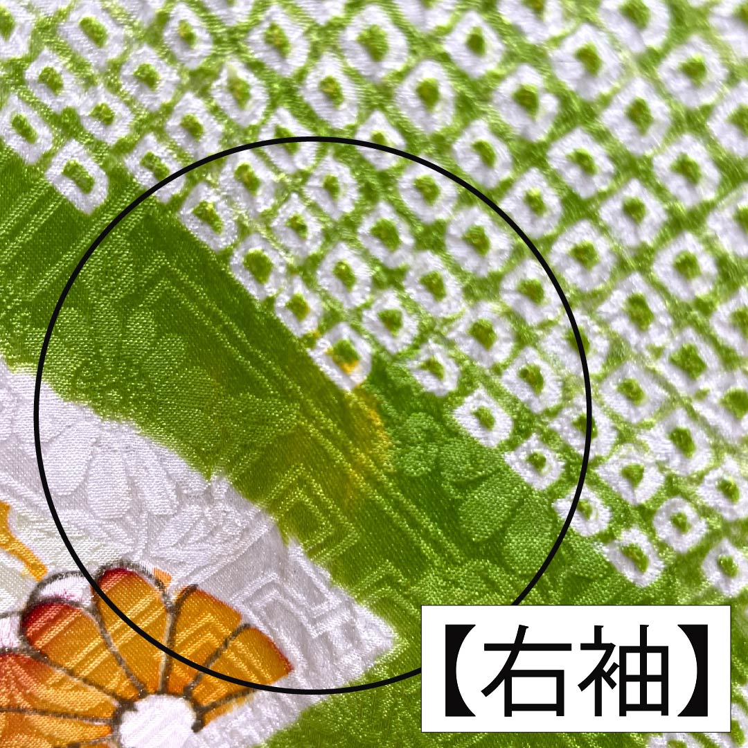 Furisode Pure Silk A Rank Length 167.5cm Sleeve-to-sleeve 64.5cm Lined Moegiiro (Yellowish Green) Kyo Yuzen Shibori Classic Pattern Green 1113002813519