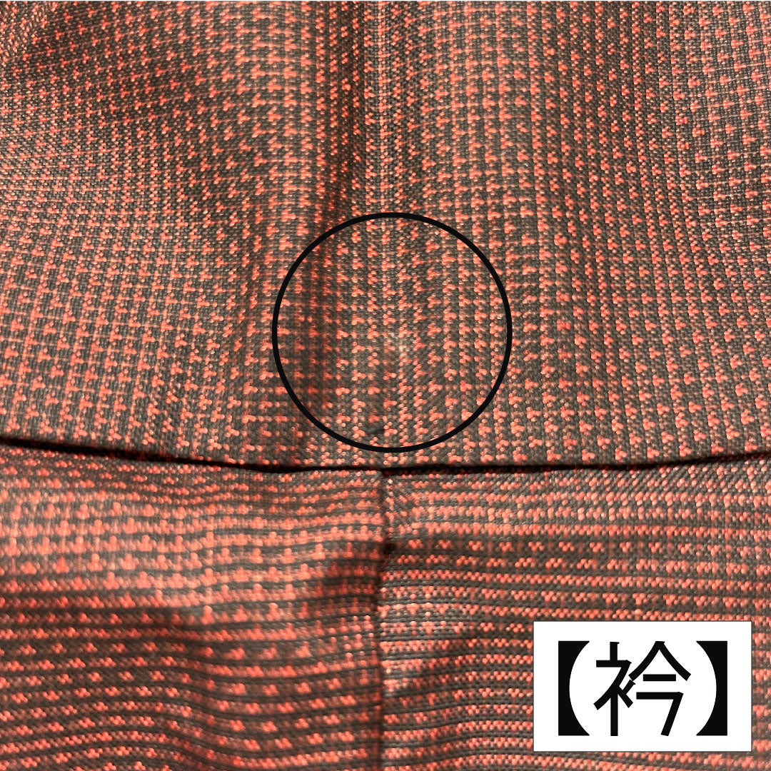 訪問着 正絹 袷 身丈158.5cm 裄丈65cm 生臙脂色(しょうえんじいろ) 大島紬地 紬地 蘇州刺繡 草花模様 Aランク 赤系 1112005493312