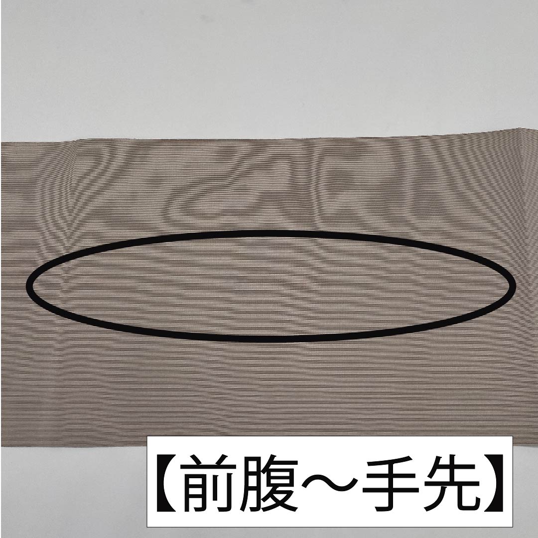 Nagoya obi, grayish white, bamboo, curtain flower, obi length 370cm, pure silk, S rank, point pattern, casual, gray, 1124006422322, pine needle style