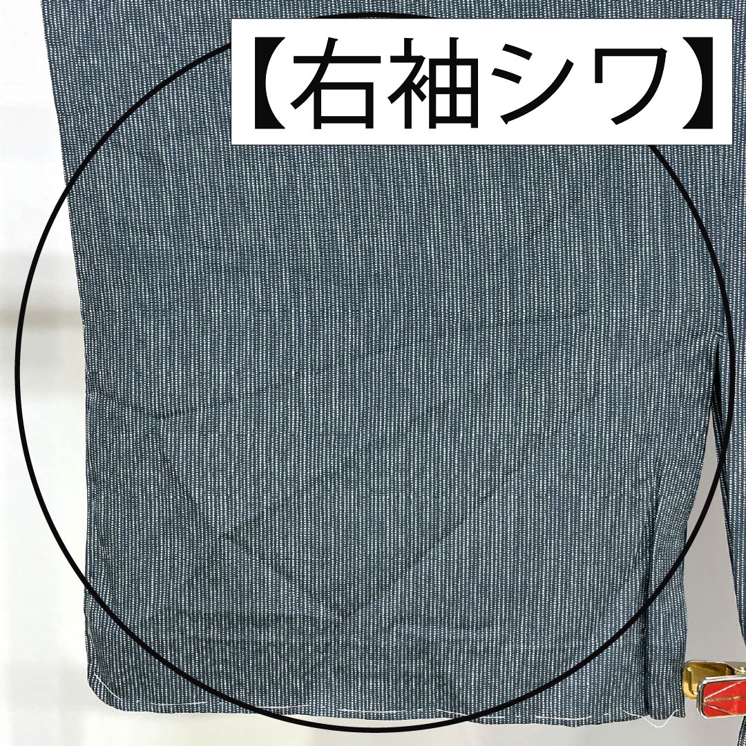 小紋 正絹 Sランク 身丈155cm 裄丈63.5cm 単衣 御召御納戸色(おめしおなんどいろ) 江戸小紋 縞 青系 1115007372317