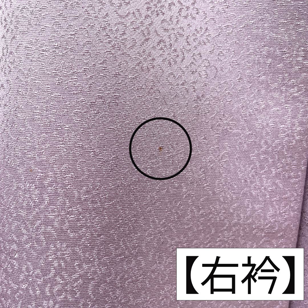 訪問着 正絹 Bランク 袷 身丈165.5cm 裄丈67.5cm 淡紅藤色(うすべにふじいろ) 付下げ 草花 紫系 1112007404520