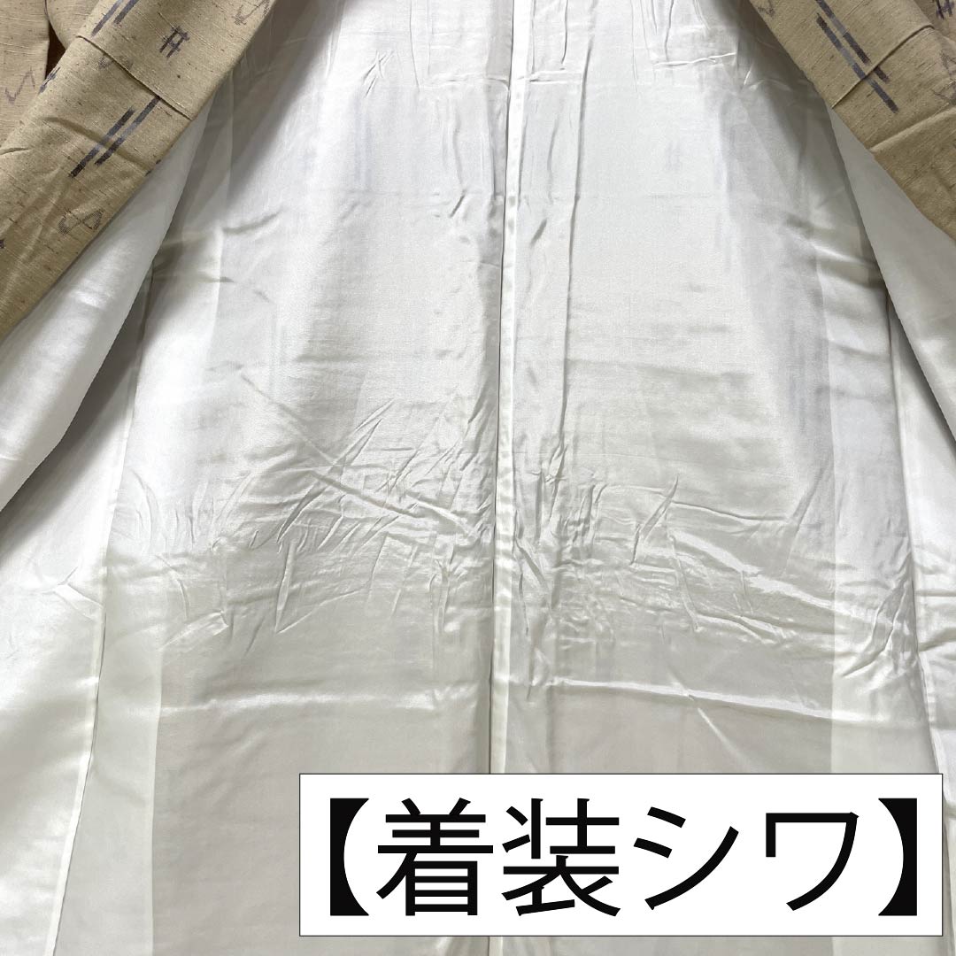 紬 正絹 Sランク 身丈162cm 裄丈65cm 白橡色(しろつるばみいろ) 米沢 ぜんまい紬 はればれ加工 袷 ベージュ系 1116004442425