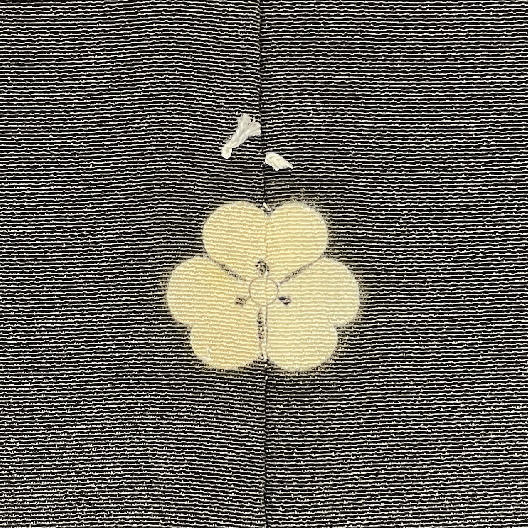 Black Tomesode, Length 155.5cm, Sleeve Length 61.5cm, Awase, Kyo-Yuzen, Crane, Katabami, Pure Silk, B Rank, Five Crests, Black, 1111000344310