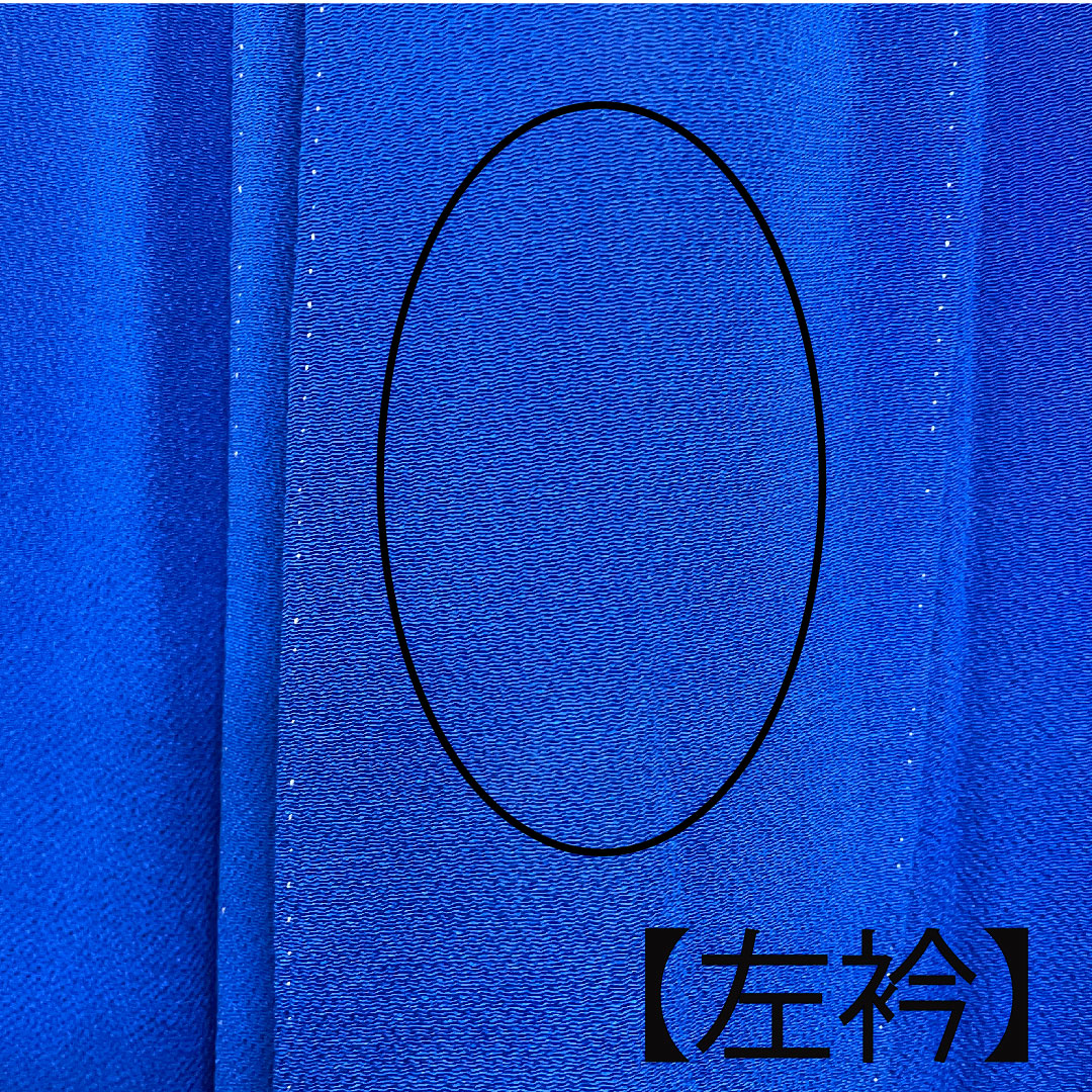 訪問着 袷 身丈163cm 裄丈68cm 瑠璃紺色 桜 菊 椿 正絹 Aランク 青系 1112001683417
