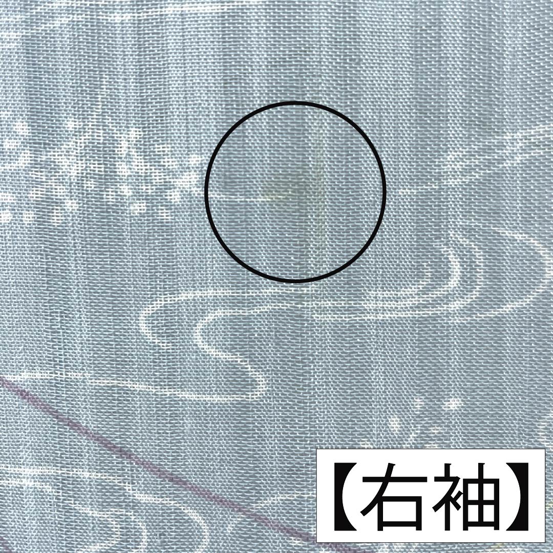 夏物 ポリエステル 小紋 身丈153cm 裄丈62.5cm 瓶覗色(かめのぞきいろ) 流水 秋草 洗える着物 紗 Aランク 水色系 1132002313224
