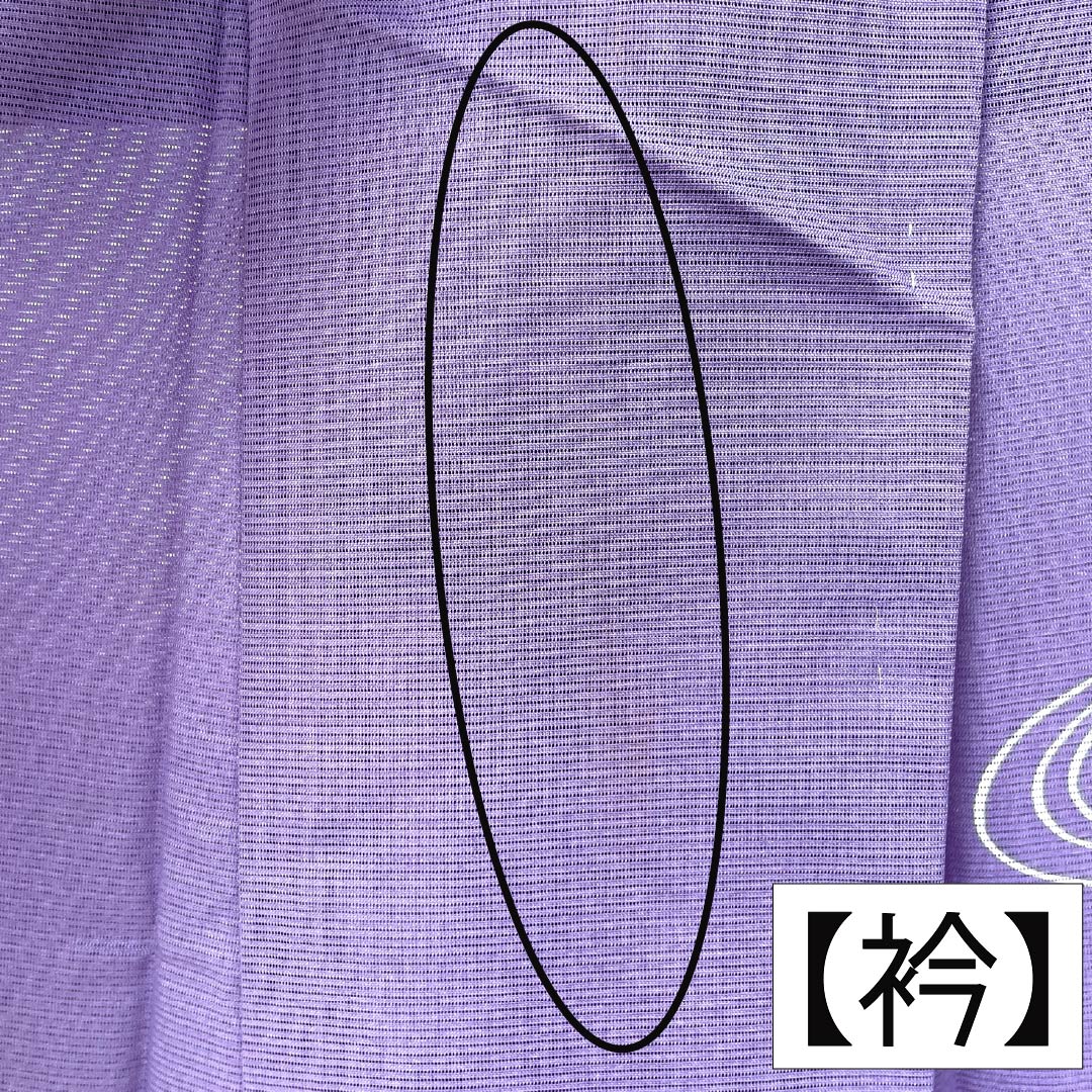 夏物 ポリエステル 訪問着 Bランク 身丈155.5cm 裄丈63cm 紫苑色(しおんいろ) 付下げ 鯉 流水 絽 紫系 1132004474320