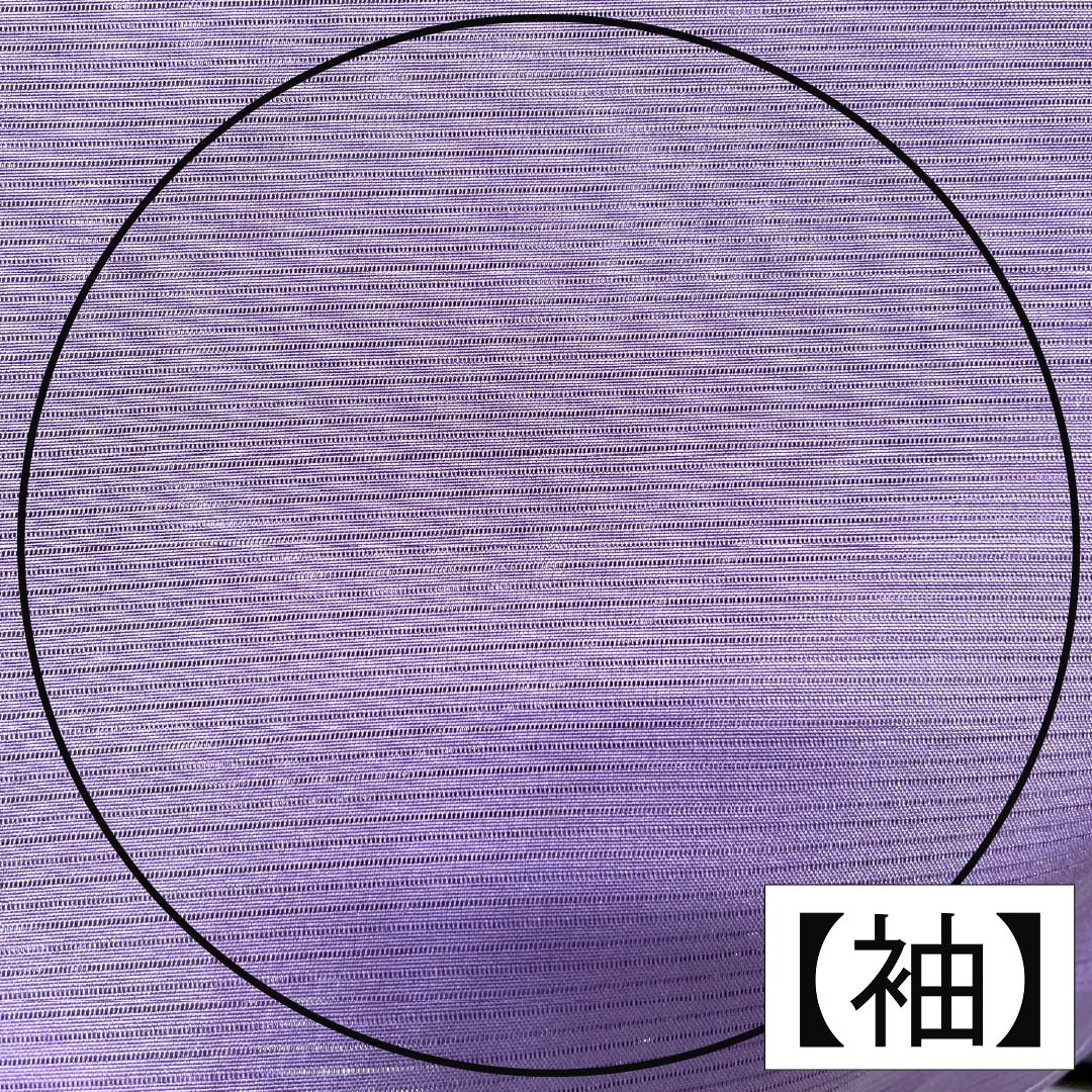 夏物 正絹 色無地 Aランク 身丈154.5cm 裄丈63.5cm 葵色(あおいいろ) 素無地 一つ紋 木瓜 絽 紫系 1132004823220