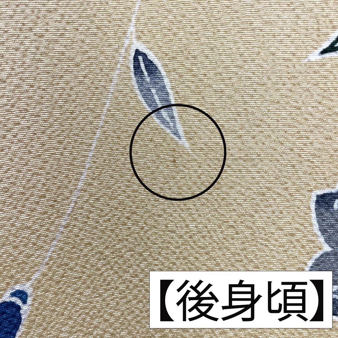 振袖 正絹 Aランク 身丈176.5cm 裄丈66cm 袷 薄柑子色(うすこうじいろ) 京紅型 吉祥文様 桜 牡丹 橙系 1113002343826