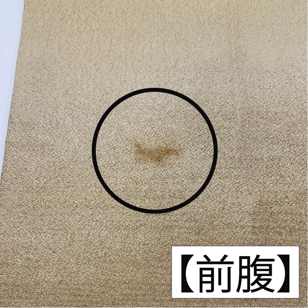 (Maru obi) Fukuro obi, pure silk, Torinoko color, Maru obi, antique, embroidery, obi length 410cm, A rank, point pattern, formal, beige, 1123013863325