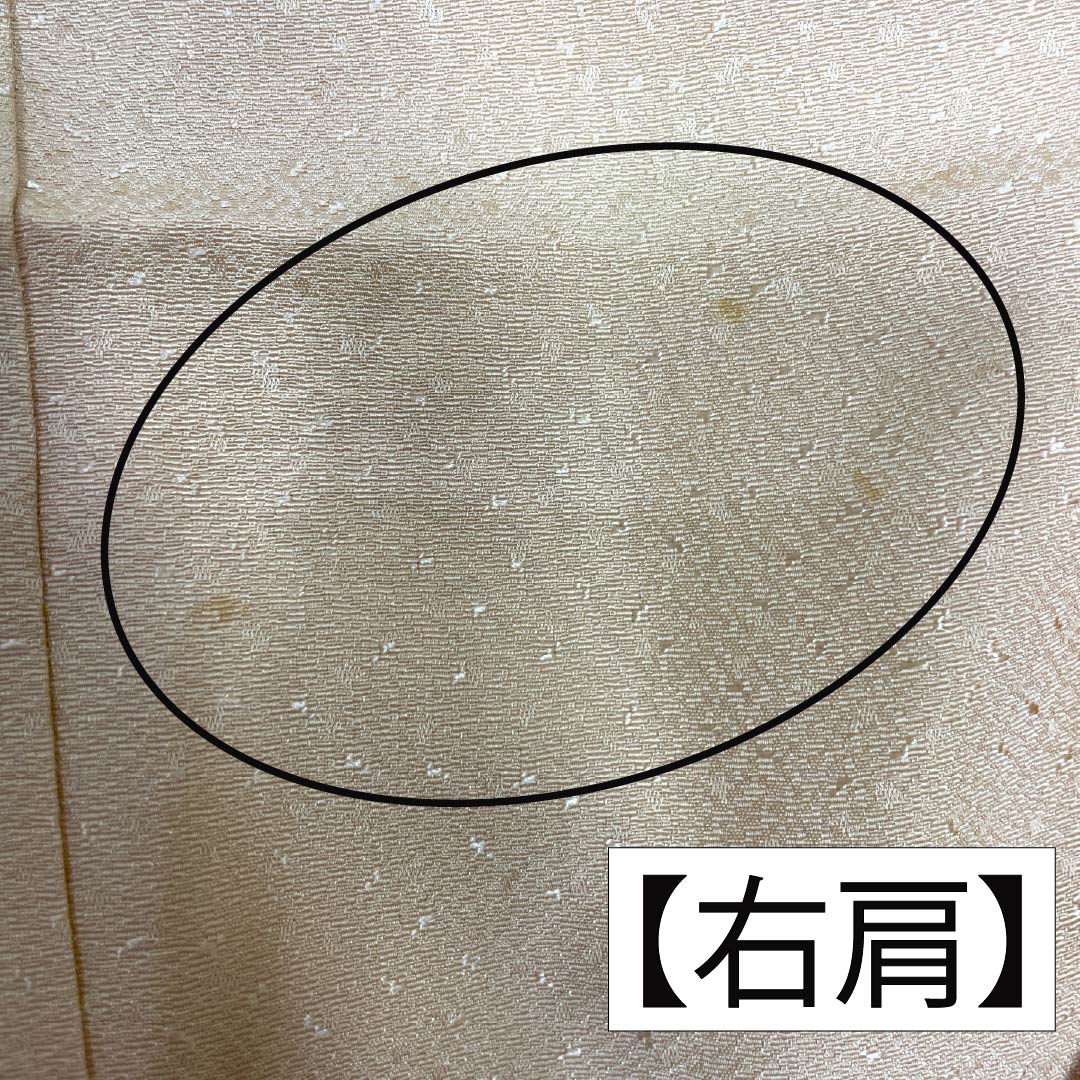 訪問着 正絹 Sランク 袷 身丈155cm 裄丈58cm 薄肉色(うすにくいろ) 縫い紋 下り藤 刺繍 重ね衿付き 草花 橙系 1112006242326