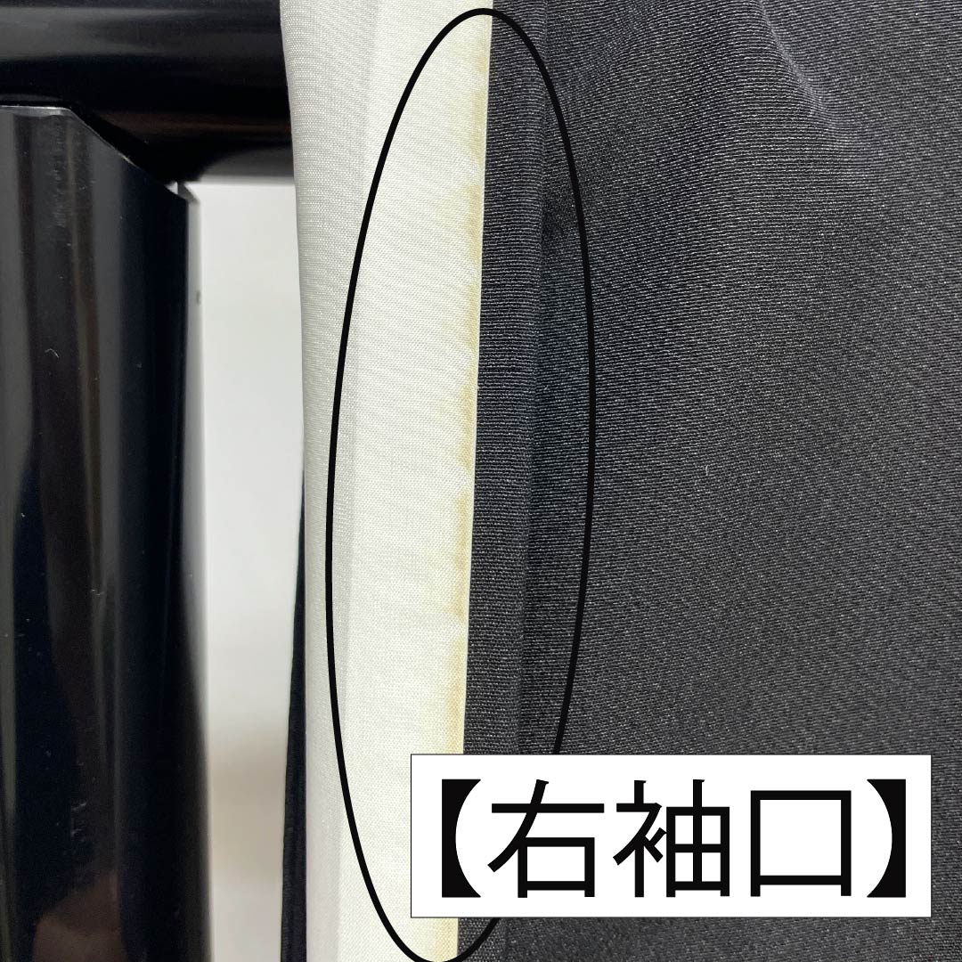 Black Tomesode (Japanese Kimono) - Pure Silk, Grade A, Length 161.5cm, Sleeve Length 64cm, Lined, Five Crests, Swallowtail Butterfly Embroidery, Bird Design, Braided Cord, Black, Item Number 1111001813410