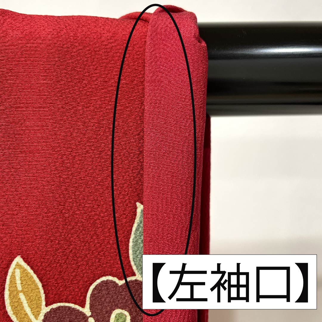 振袖 正絹 Aランク 身丈158.5cm 裄丈67cm 袷 紅赤色(べにあかいろ) 京紅型 吉祥文様 蝶 菖蒲 橘 赤系 1113002283312