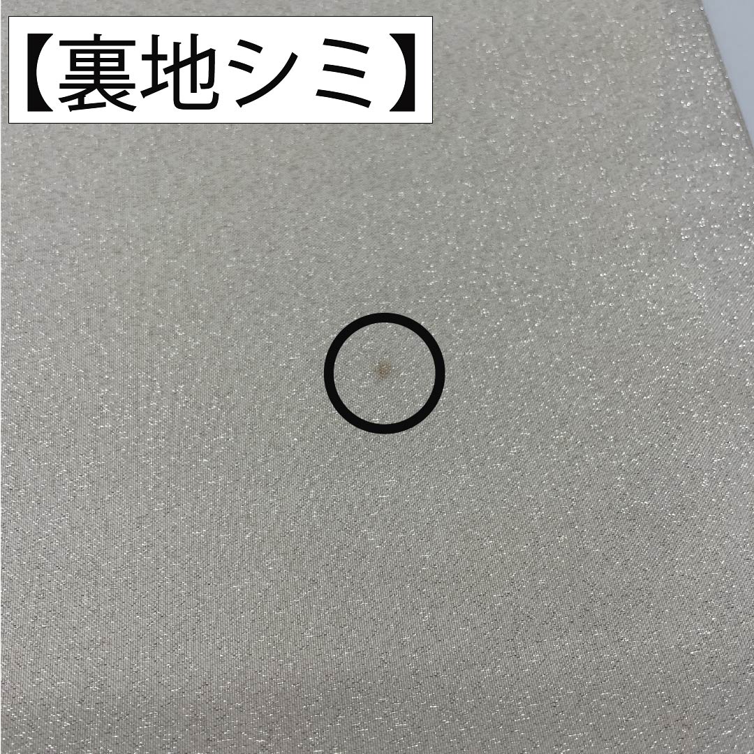 袋帯 正絹 Aランク 生成り色(きなりいろ) 蘇州刺繡 綴れ地 風景模様 銀糸 帯丈468cm ポイント柄 セミフォーマル 白系 1123017533411