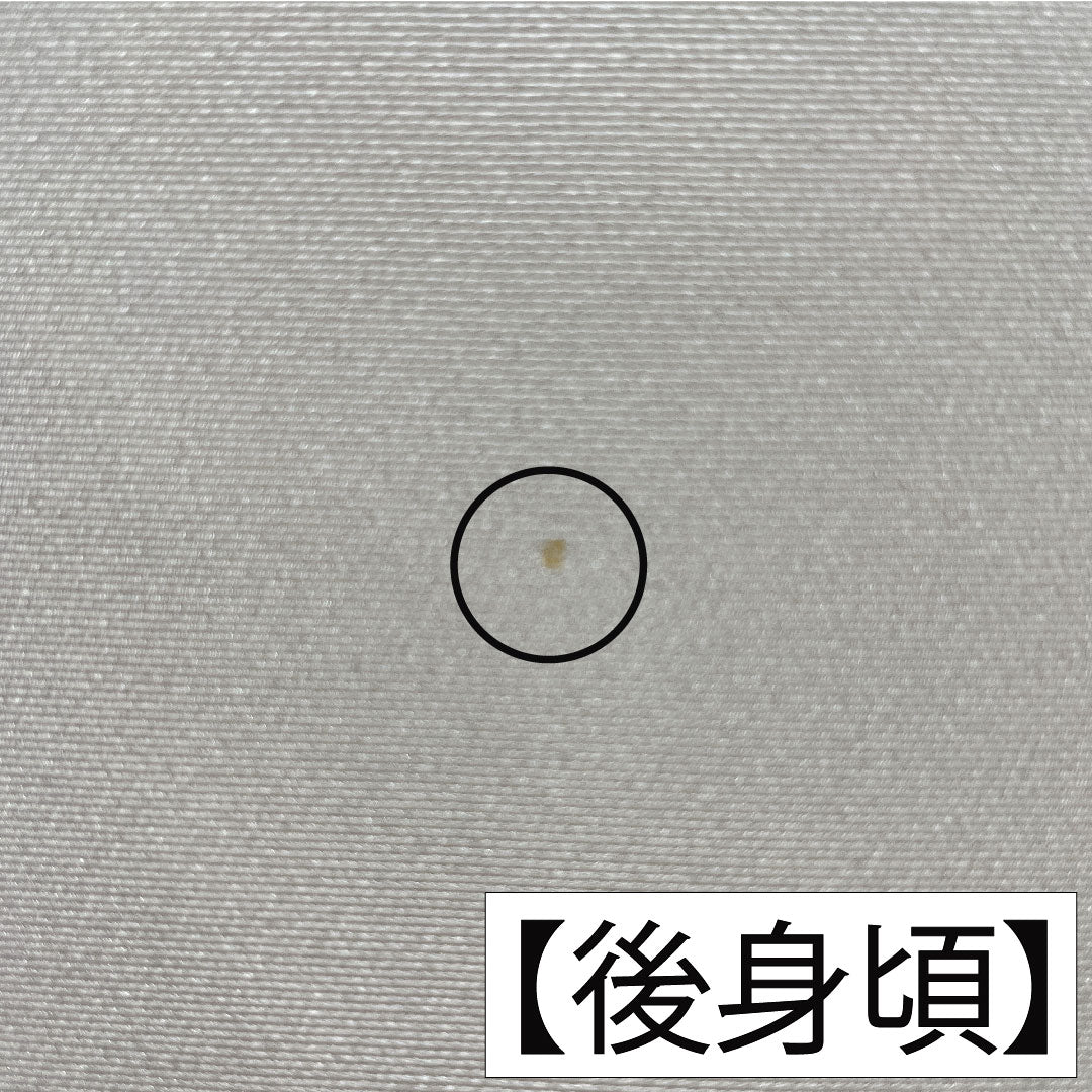 訪問着 正絹 袷 身丈167.5cm 裄丈66.5cm 生成り色(きなりいろ) 京友禅 吉祥文様 付下げ Aランク グレー系 1112005703522