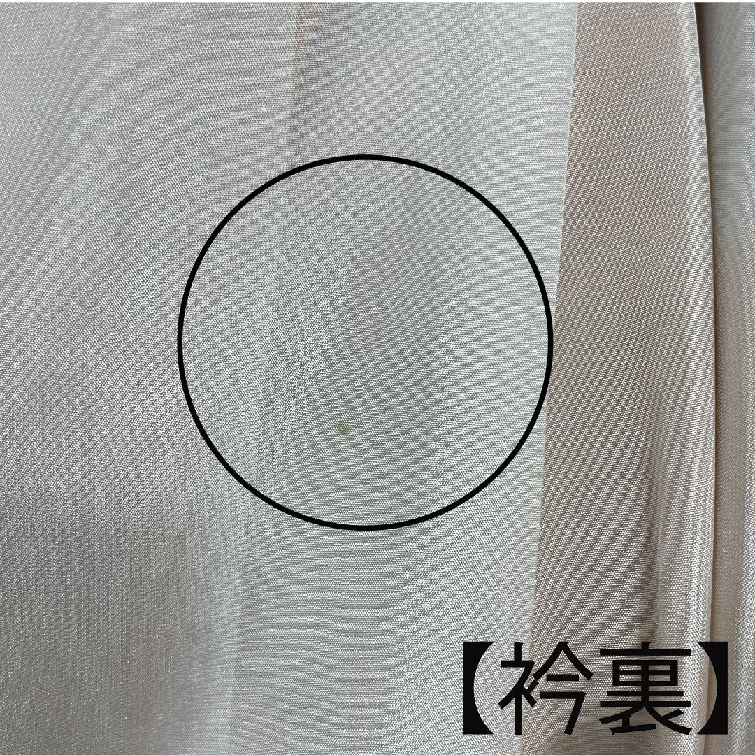 訪問着 袷 身丈165cm 裄丈68cm 櫨染色 鴛鴦 梅 振切り 正絹 Sランク 黄系 1112001602523