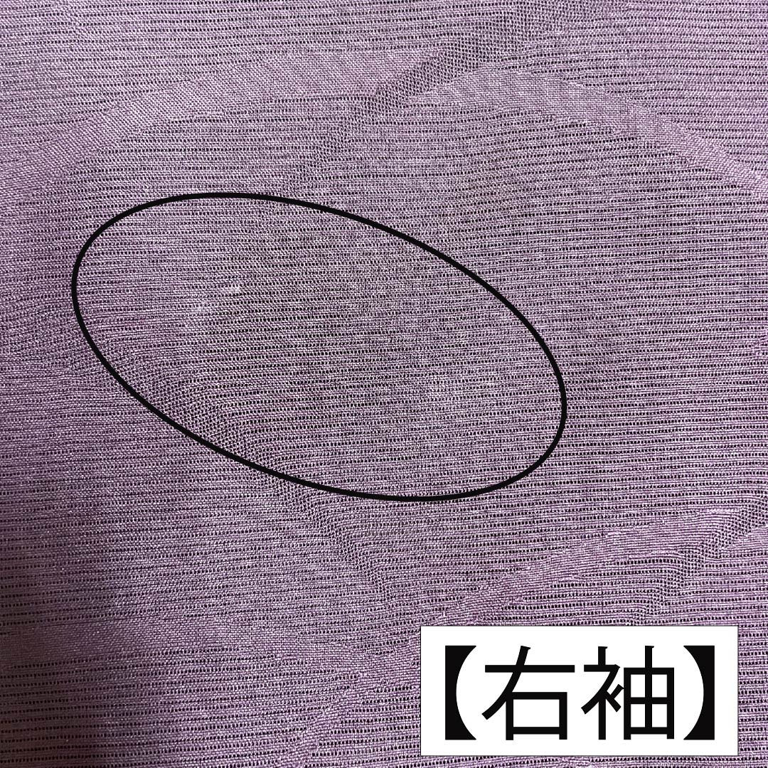 夏物 ポリエステル 色無地 Aランク 身丈158.5cm 裄丈65.5cm 紫烏色(しうしょく) 露芝 絽 紫系 1132004793320