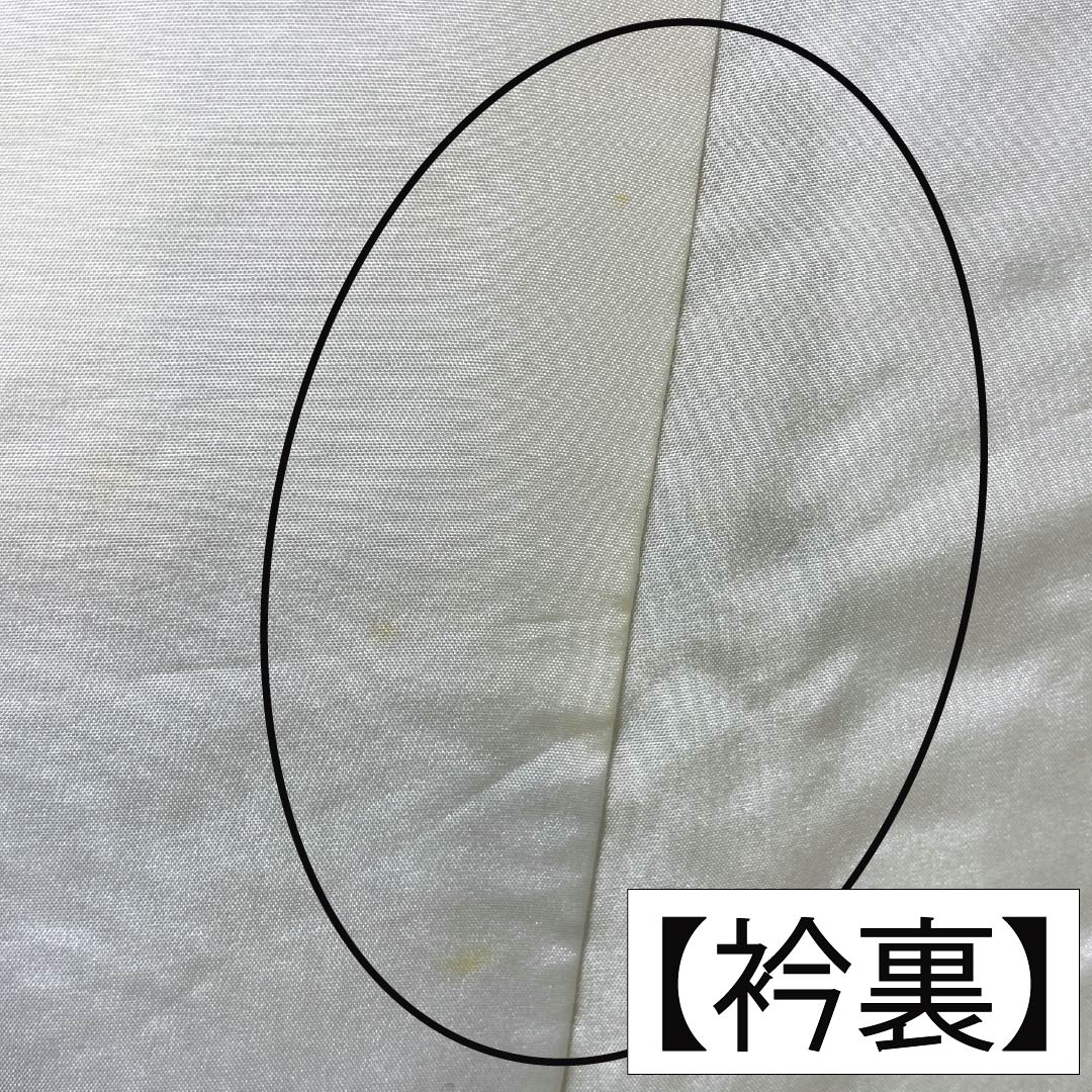 訪問着 正絹 Bランク 袷 身丈160.5cm 裄丈65.5cm 硫黄色(いおういろ) 総絞り 草花 緑系 1112007444419