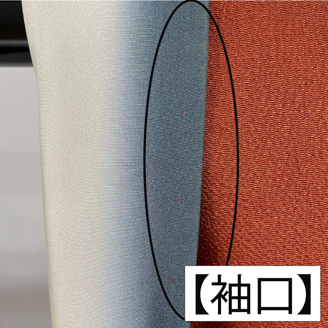訪問着 正絹 袷 身丈165.5cm 裄丈65cm 弁柄色(べんがらいろ) 京友禅 茶屋辻風景模様 ちりめん地 Aランク 朱系 1112005923516