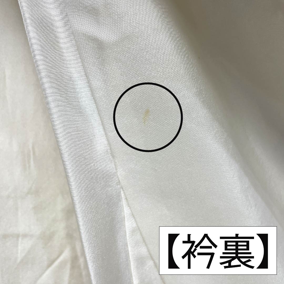 小紋 正絹 Aランク 身丈154.5cm 裄丈63.5cm 袷 薄卵色(うすたまごいろ) 花 紬地 パールトーン加工 クリーム系 1115006913215