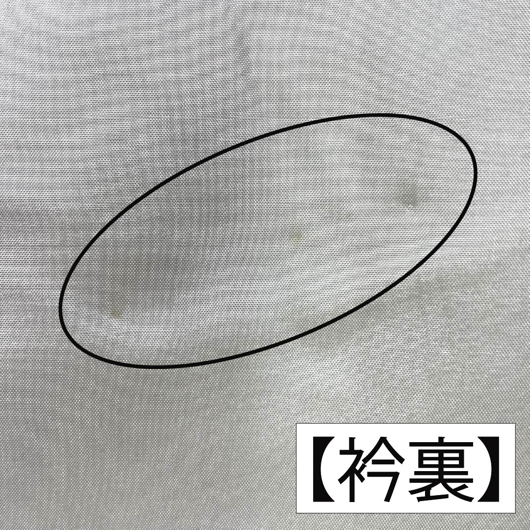 訪問着 正絹 Sランク 袷 身丈157.5cm 裄丈63cm 鮭色(さけいろ) 丸に蔦 付下げ 一つ紋 刺繍 草花 ピンク系 1112006332313