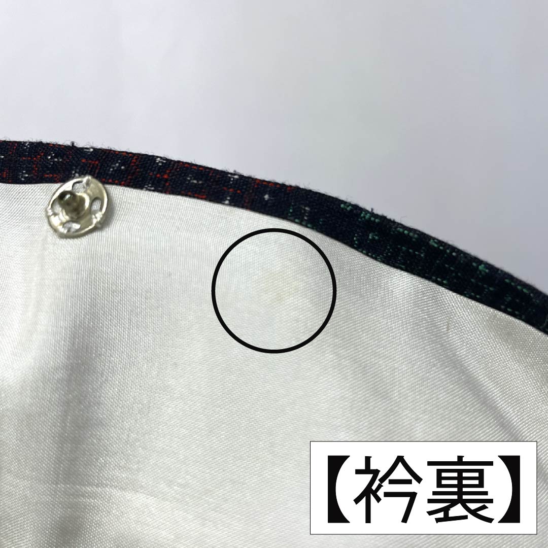 紬 正絹 Sランク 身丈161cm 裄丈66.5cm 真綿紬 幾何学模様 袷 グラデーション系 1116005052499