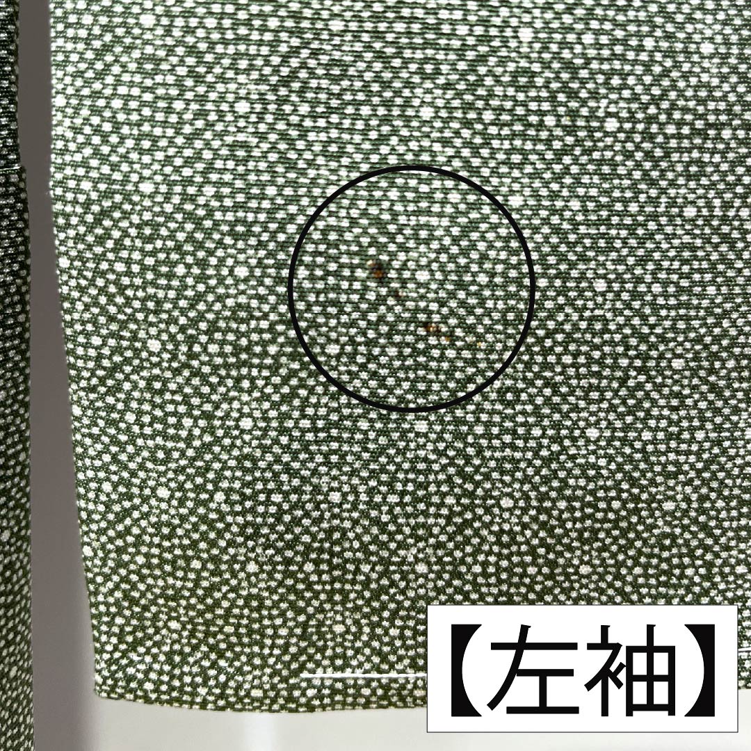 小紋 正絹 身丈157cm 裄丈62cm 袷 岩井茶色(いわいちゃいろ) 型染 江戸小紋 麻の葉模様 しつけ糸付き Aランク 緑系 1115005323319