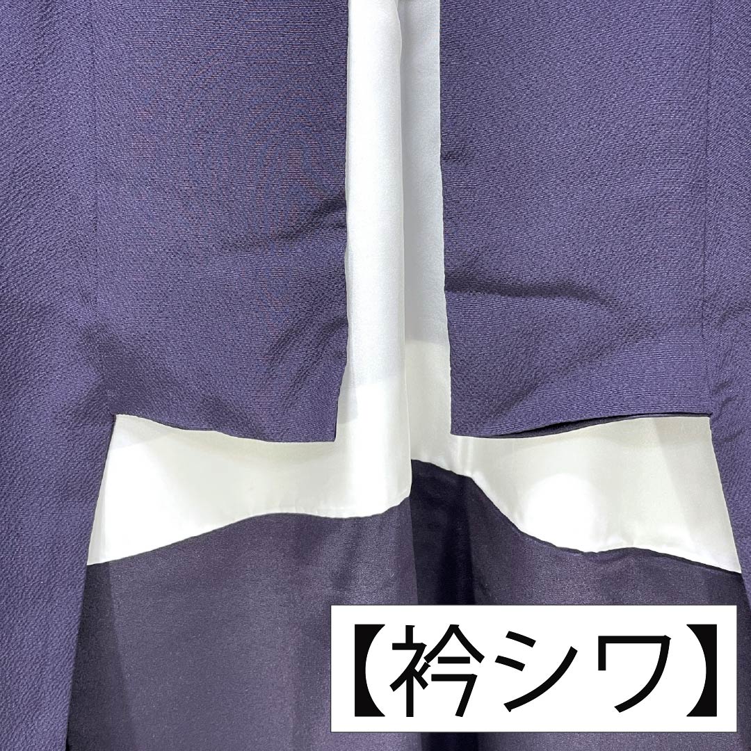 Visiting Kimono (Formal Kimono) - Pure Silk, Grade A, Lined, Length 157.5cm, Sleeve Length 64.5cm, Purple-Eyed, Suzhou Embroidery, Flower Circles, Auspicious Motif, Tsukesage, Purple, Product Number: 1112007233320