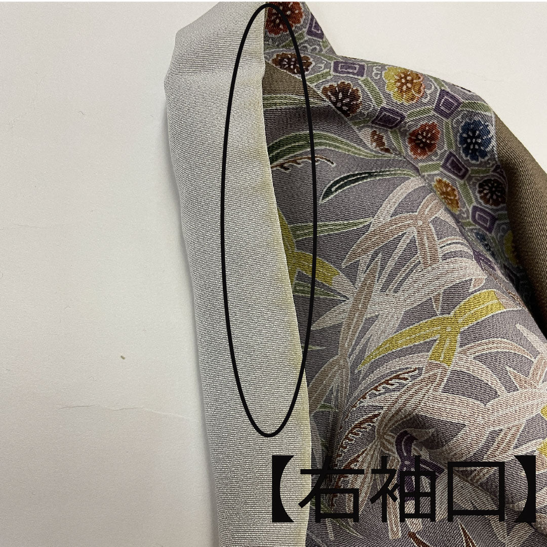Homongi (formal kimono) Length 165.5cm Sleeve length 66cm Kyoto Bingata Genjiko Flower pattern Pure silk A rank Gray 1112001453522