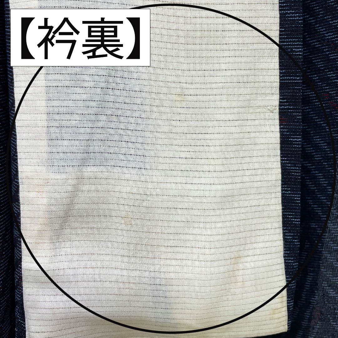 夏物 正絹 紬 Aランク 身丈156cm 裄丈67cm 抽象模様 紗 マルチカラー 1132004323328