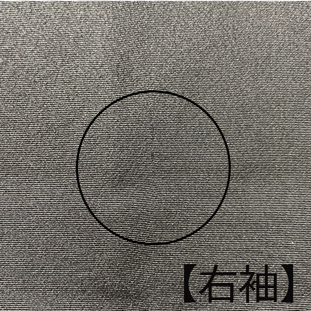 Black formal kimono, length 163.5cm, sleeve length 62.5cm, lined, Kyoto Yuzen, auspicious motif, circle with iris, pure silk, A rank, five crests, black, 1111000633410