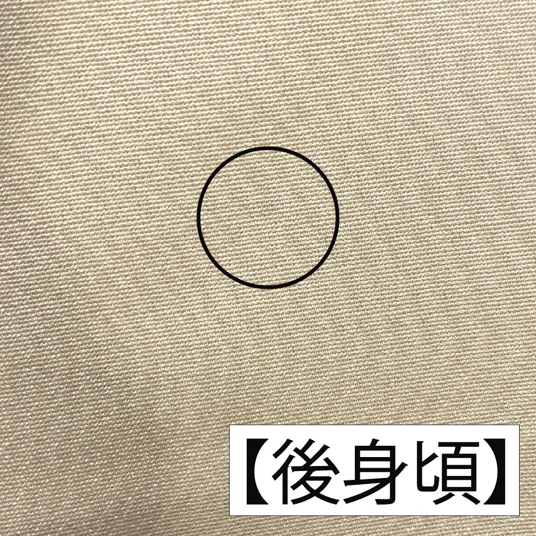 訪問着 正絹 Aランク 袷 身丈165cm 裄丈64.5cm 東京白茶色(とうきょうしらちゃいろ) 霞 松 竹 パールトーン加工 ベージュ系 1112006883525