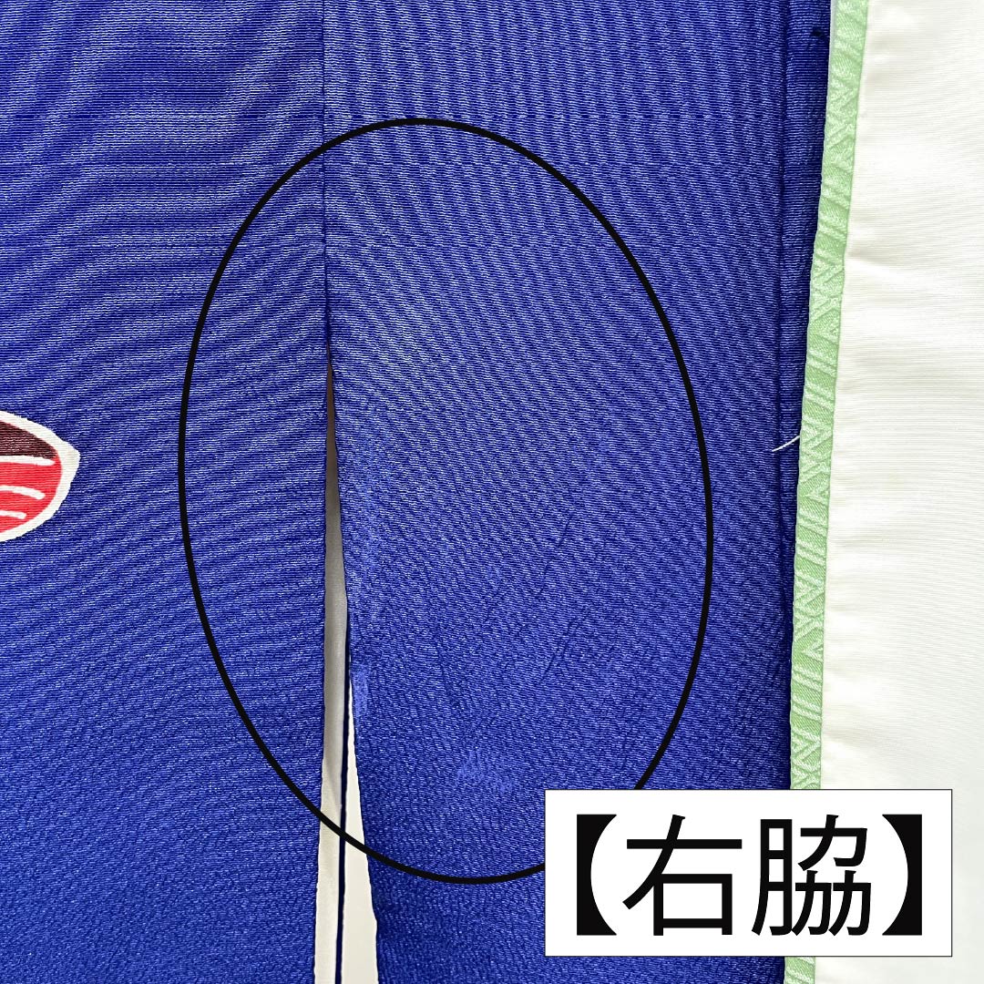 訪問着 正絹 Bランク 袷 身丈167.5cm 裄丈64.5cm 瑠璃色(るりいろ) 京紅型 紅型調 風景模様 半衿付き 青系 1112006684517