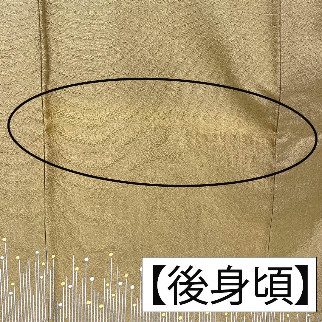 Homongi (visiting kimono) made of pure silk, rank B, lined, length 158.5cm, sleeve length 66cm, mulberry dyed, with one crest, three pine trees, and a noshi (gift wrapping) design, plum and chrysanthemum motifs, brown, product number 1112007324314
