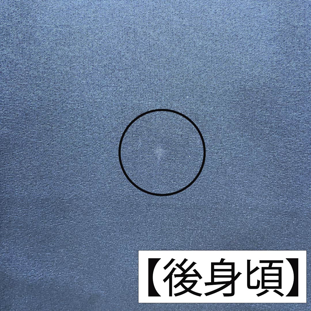 振袖 正絹 Aランク 身丈161cm 裄丈62.5cm 袷 印度藍色(いんどあいいろ) 京友禅 牡丹 紅葉 紺系 1113002833418